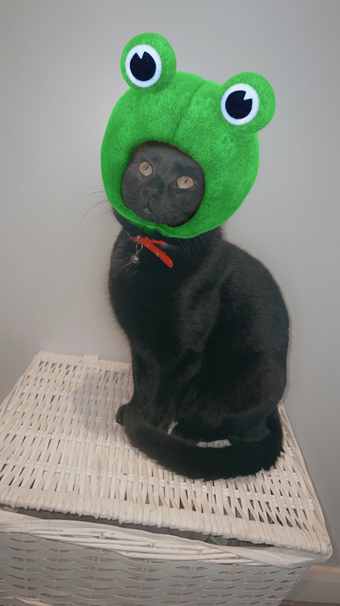 Jack 👑 tweet media