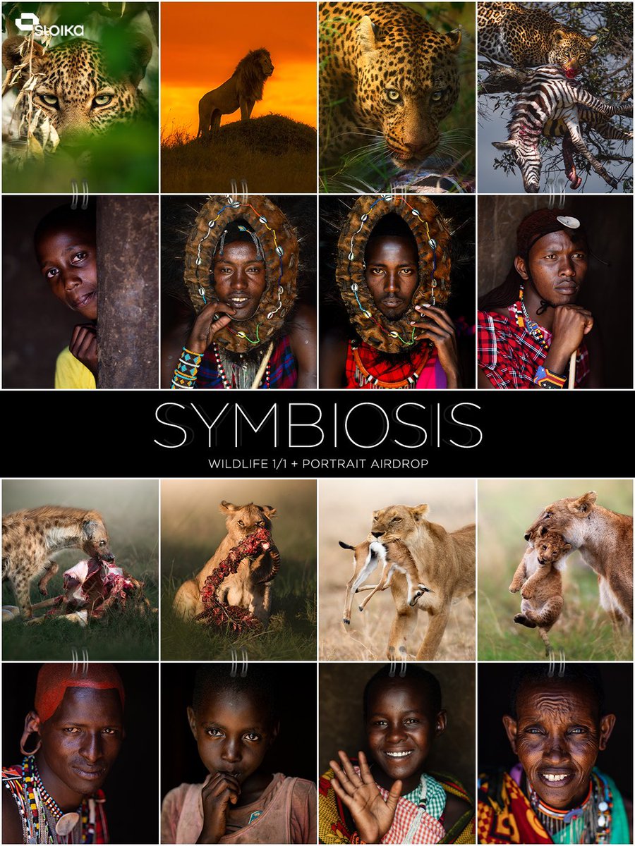 🔗 SYMBIOSIS - Now Live 🔗

Collect Link : sloika.xyz/subodhshetty.e…

🦁 Celebrating Relationship Between 

       ▪️Humans &amp; Nature
       ▪️Lands &amp; Tales
       ▪️Miles &amp; Smiles 

🦁 1/1 Wildlife Images Up For Collecting 

🦁 1/1 Portrait Associated - Airdropped 

🦁 RT/QT 🙏🏼