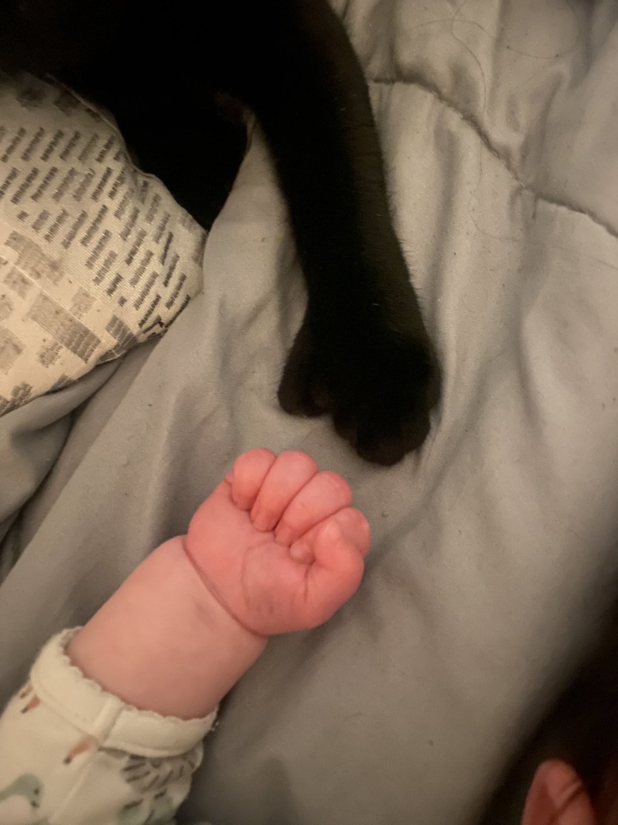 bellagparra's tweet photo. Just crying bc I’m about to have a 5 month old and I never thought I would ever have babies. And here tf I am. 🥲😭 https://t.co/SH8gvNeV3b