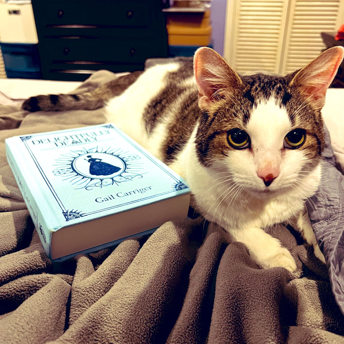 Aliera's tweet photo. Just finished reading @gailcarriger’s #DelightfullyDeadly. I’ve been waiting to tackle this volume for ages but held off because I wanted to make sure I had the time & was in the right headspace to savor each story. It was everything I hoped for. 10/10 will read again (& again). https://t.co/BMEUEOQjDR