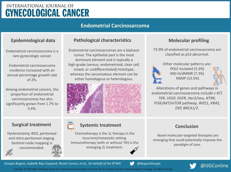 #ConsensusStatement Endometrial carcinosarcoma 🔗 bit.ly/3XZv0lB @pedroramirezMD @HsuMd @JayrajAarthi @AndreFernandes2 @agz_eriksson @BoganiGiorgio @leitaomd @IJGCfellows @ESGO_society @IGCSociety