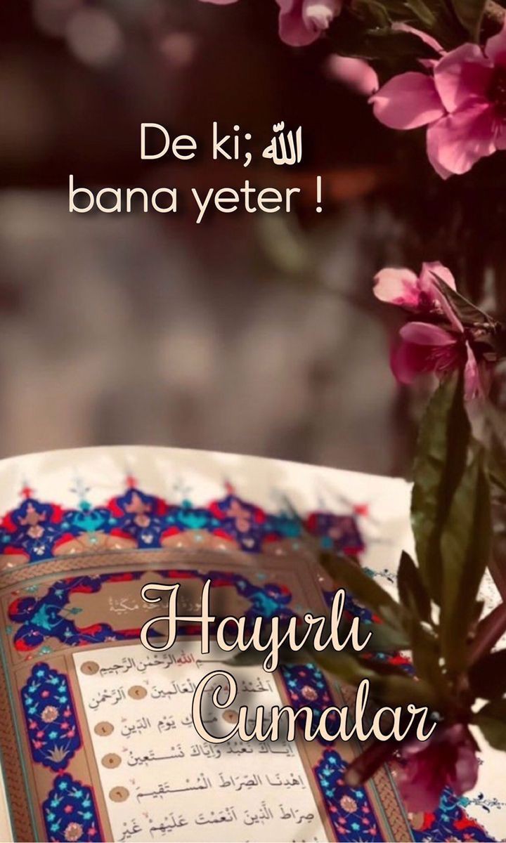 Allah'ım,
Senden başka gidecek kapımız yok,
Gönlümüzden geçenler sana âyân,

Bizi, Sen sevindir.🤲

#Hayırlı_Sabahlar
#Hayırlı_Cumalar