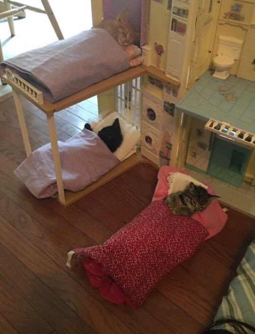 BoysClubWorld's tweet photo. Me and the homies when we say gn in Discord https://t.co/hdsAnlvQR9