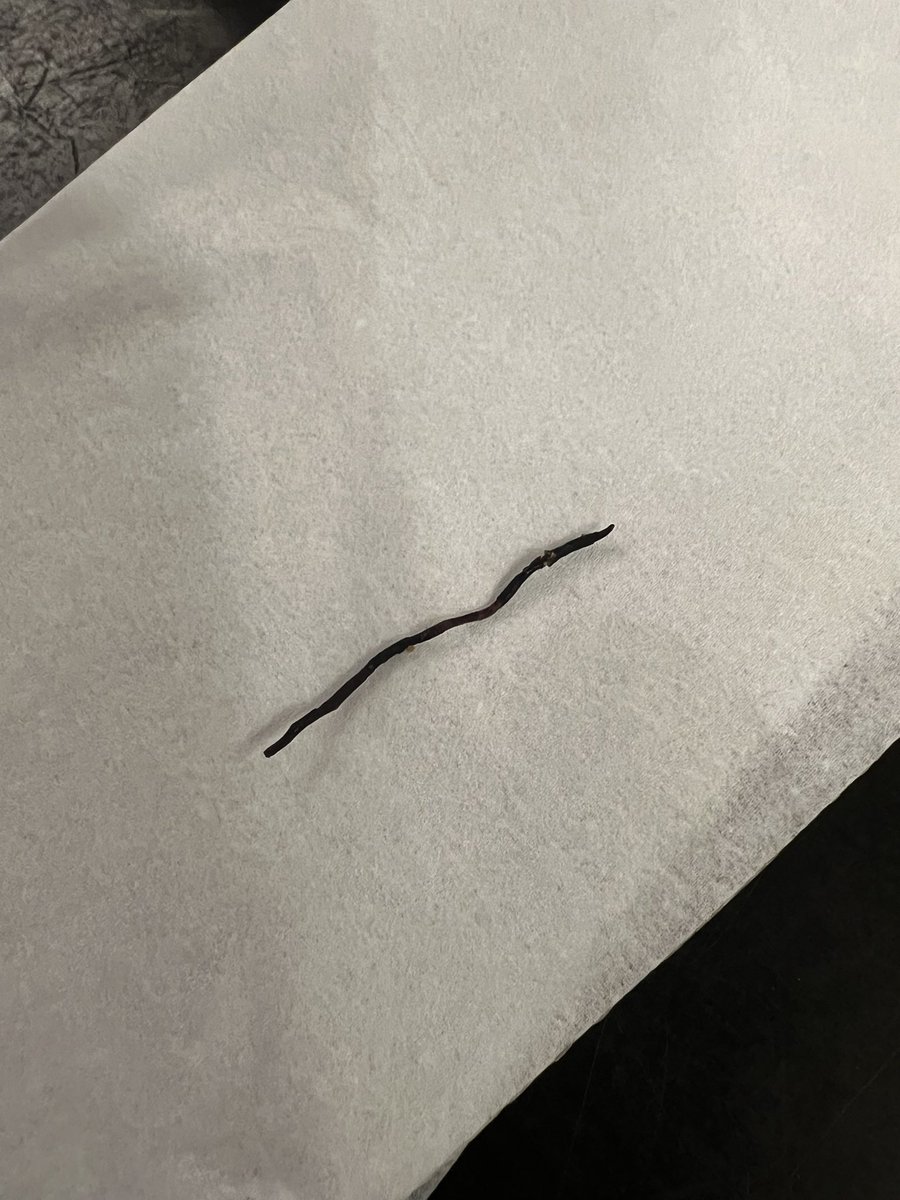 biemichael's tweet photo. @WendysCanada 

I found a piece of wire in my burger today. https://t.co/g2jpQc6fjS