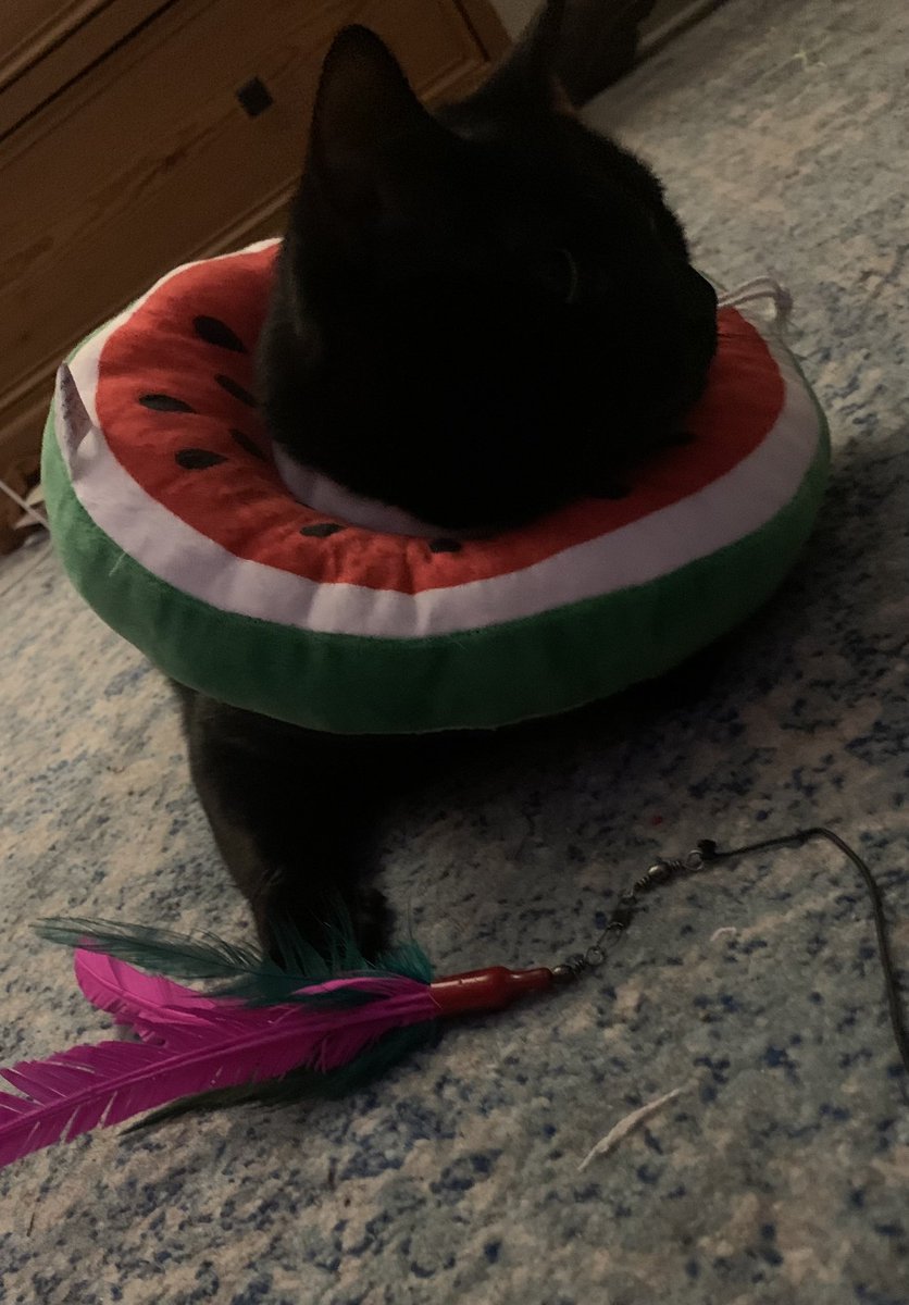 NURKO💧 tweet media