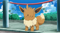 *An Eevee breaks into your house and eats your snacks what ya gonna do about it?*
#OpenRP