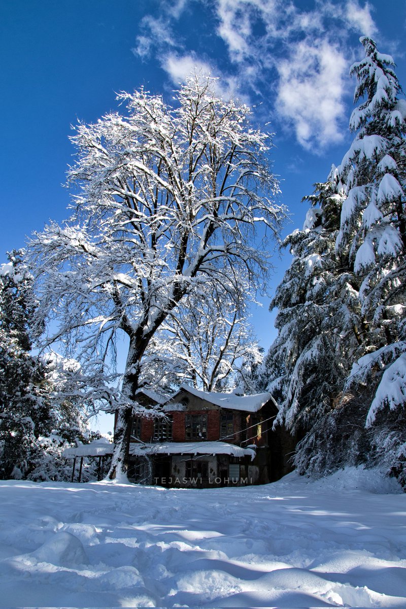 TLohumi's tweet photo. Shimla life!! #snow #shimla #himachalpradesh #himachaltourism #snowfall #WinterIsComing #Winter #himalayas #architecture #nature #photography #Canon https://t.co/o3c0A02bVL