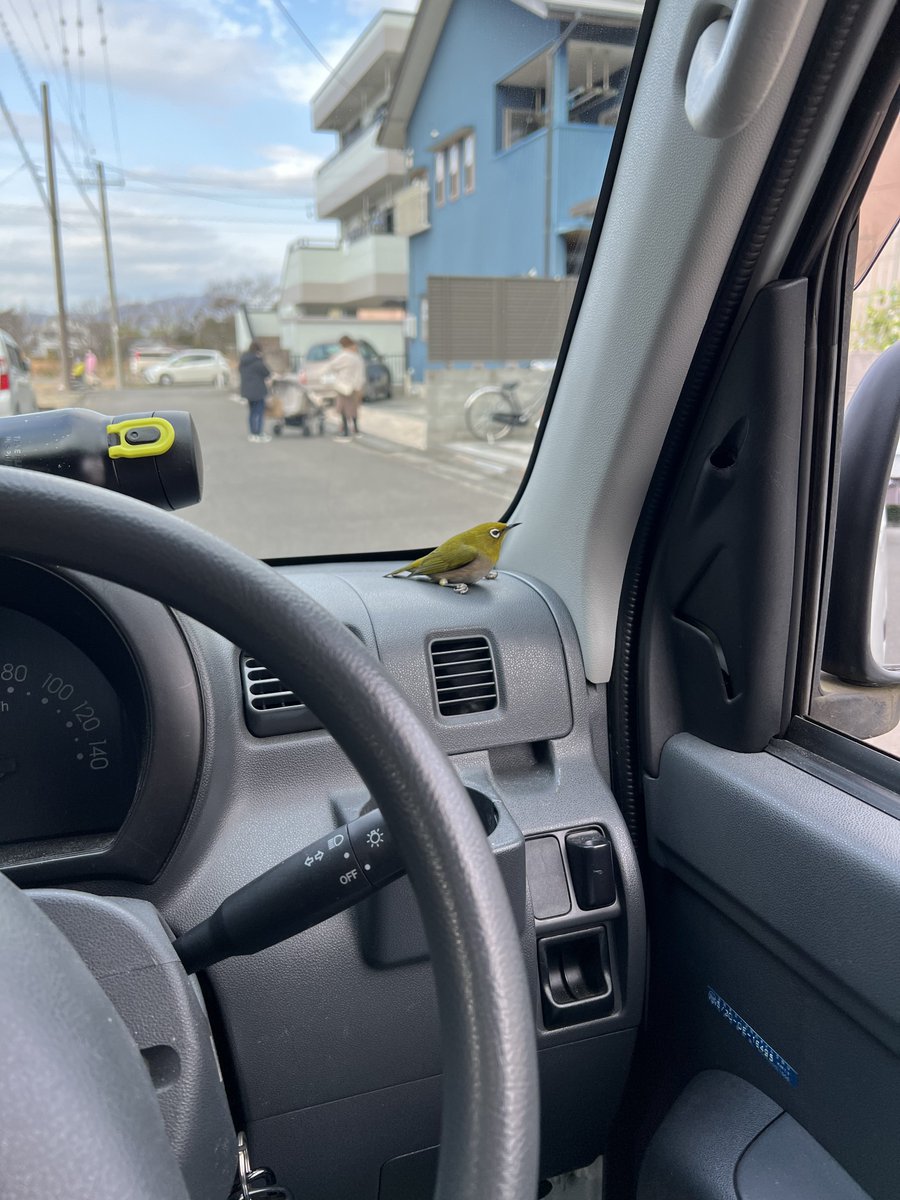 namaehanaiyo's tweet photo. ふと車に乗り込んだら突然居るのやめてwwwww

バカビビるwwww https://t.co/19LK5tre2W