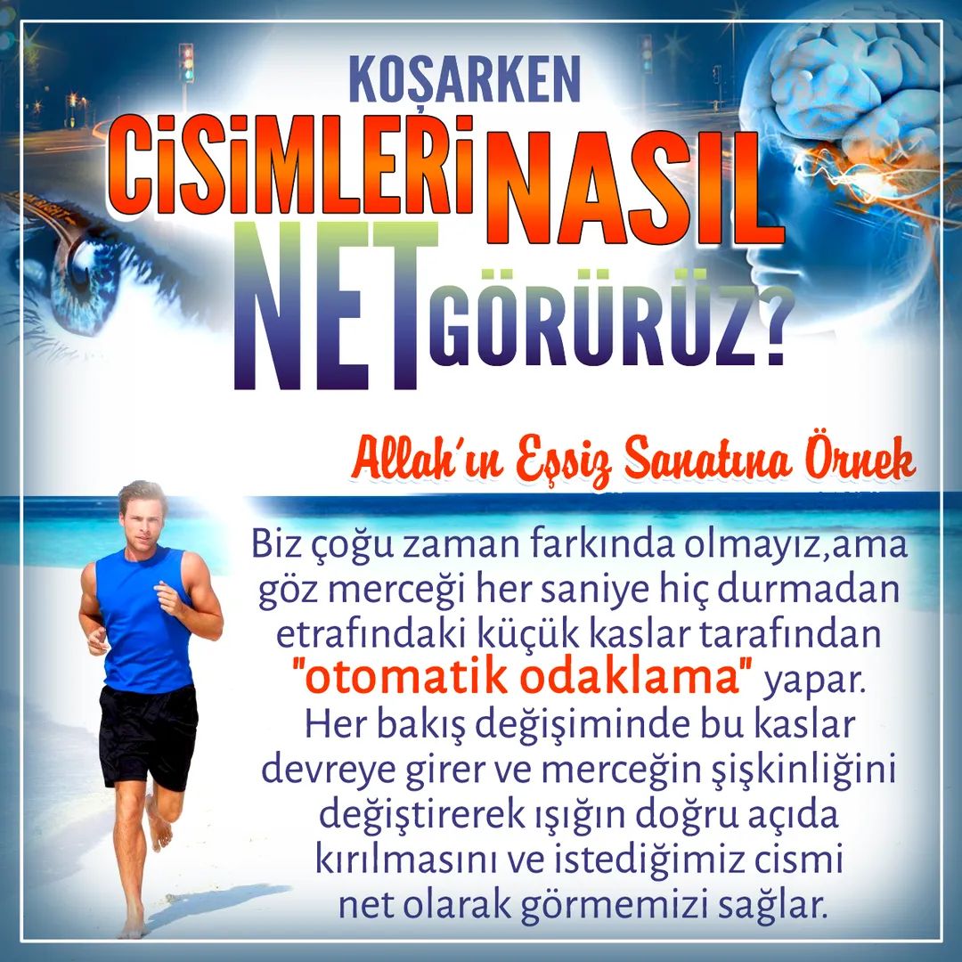 #Allahvar #Allah #evrimyok #İstanbul #mucize #Yaratılış