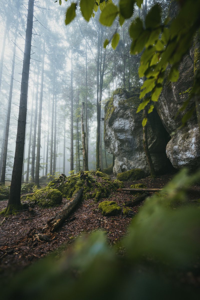 moners | Outdoor Photography from Germany tweet media