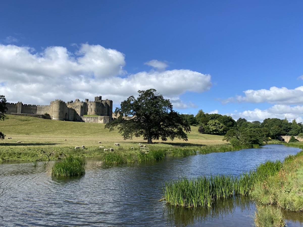 Simon Neilson tweet media