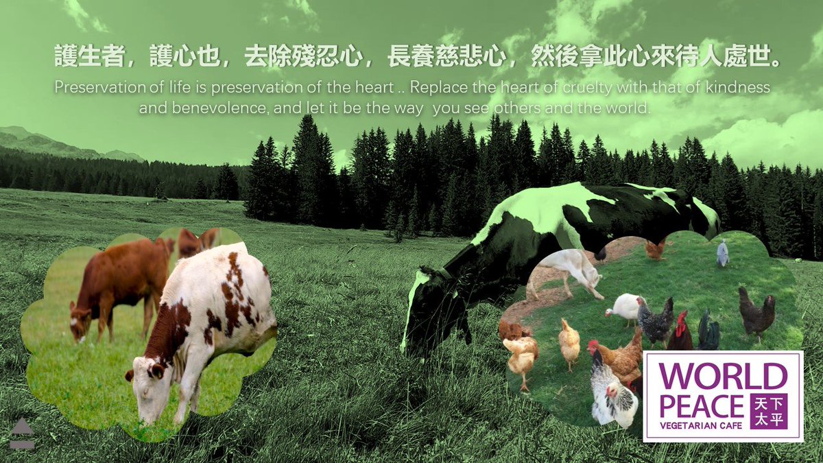 greenlander2012's tweet image. 