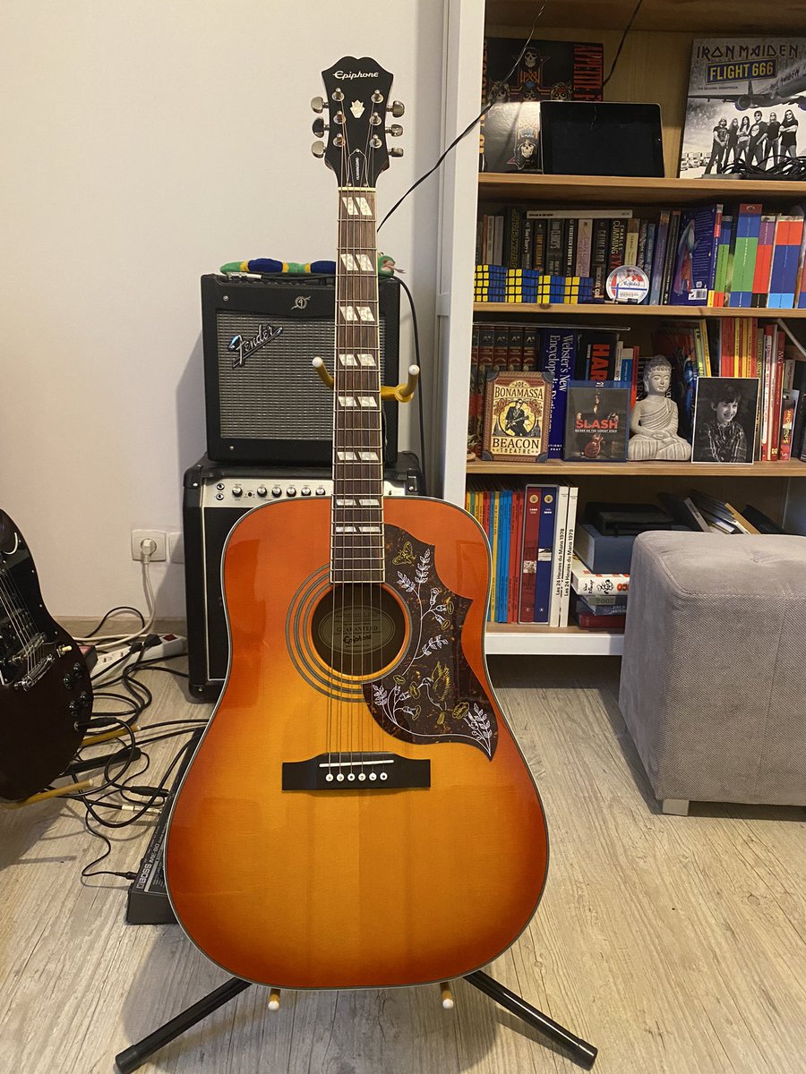 stephanelenny's tweet photo. @Epiphone Gorgeous 🤩 https://t.co/jG38gqzKZ1