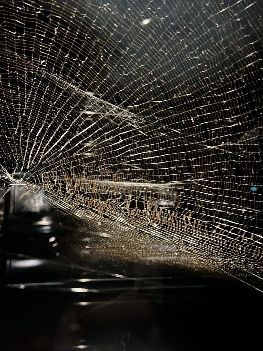 Prof Steve Roberts tweet media