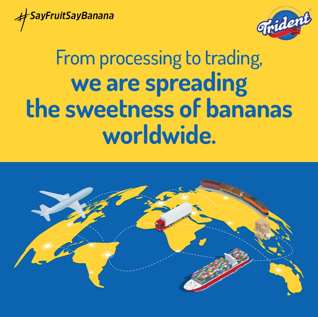 We are making our place in the world's banana production by bringing fresh bananas straight from the farm. Enjoy the best and the most nutritious bananas you've ever had, only from Trident Fruits.

#SayFruitSayBanana #ExportingWorldwide #FreshBananas #Bananas #GoFruits