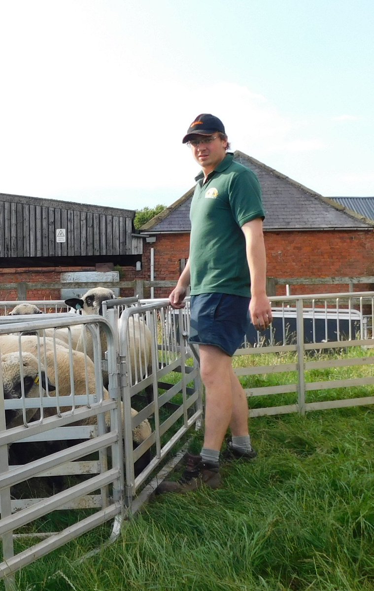 Global Sheep Forum tweet media