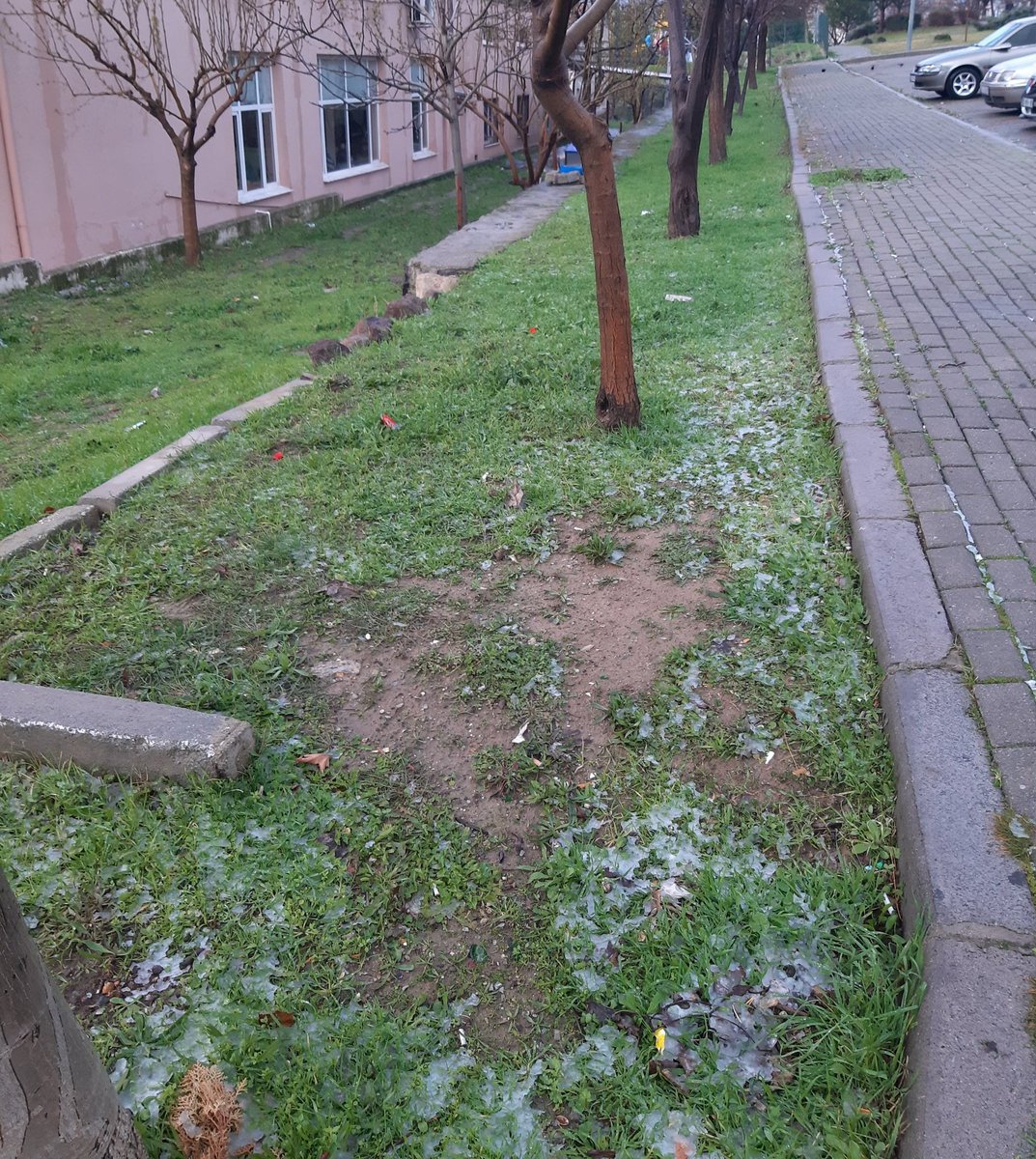 EgeUnivercity's tweet photo. An itibariyle İzmir/Bornova ☃️
Kaldırımın yanında yer alan yeşillikte kar var 🥲 https://t.co/SLWzOylK5t