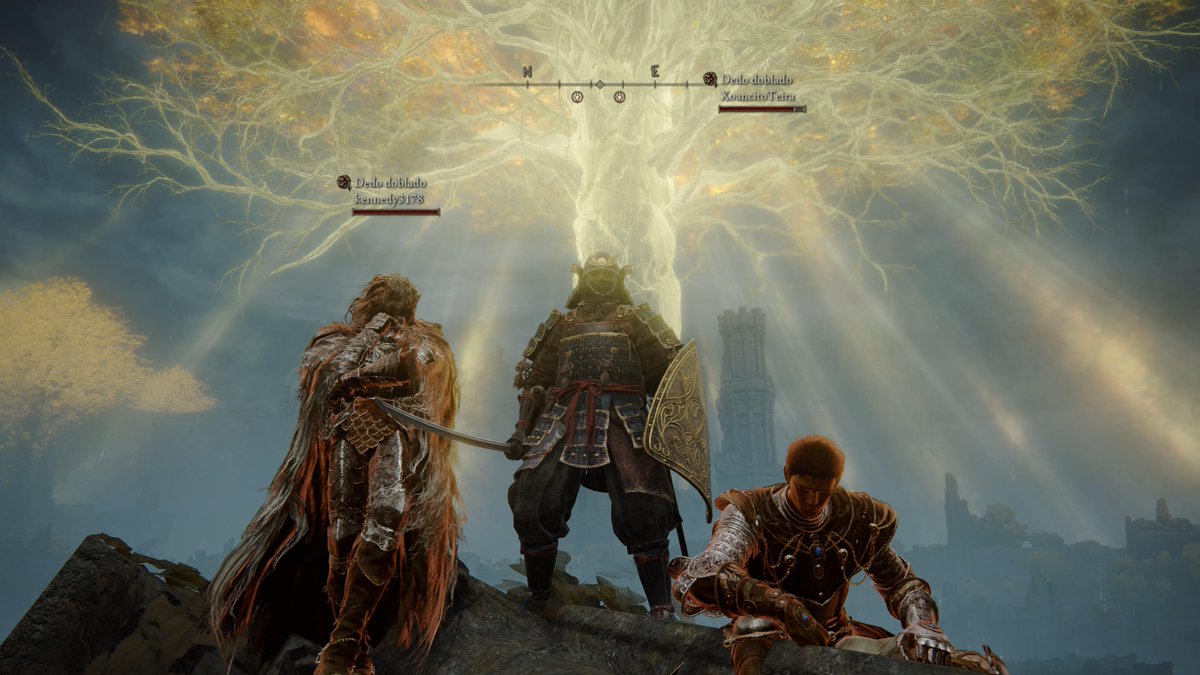 32Thejacket's tweet photo. #PS5Share, #ELDENRING https://t.co/gWJhHTxWfc