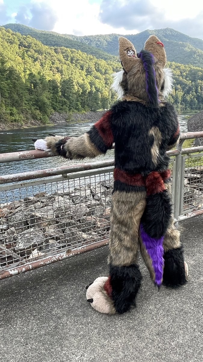KodaWolfy's tweet photo. Hey, I’m Koda! I’m a pan wolfy and I think you’re cute! Lvl 28 He/him https://t.co/ypOo0C8NFp