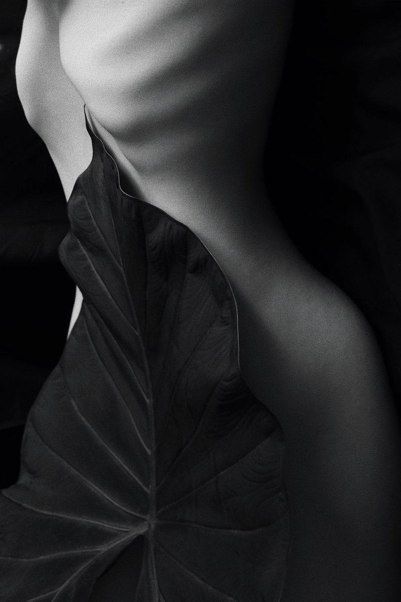 Liv Sage tweet media