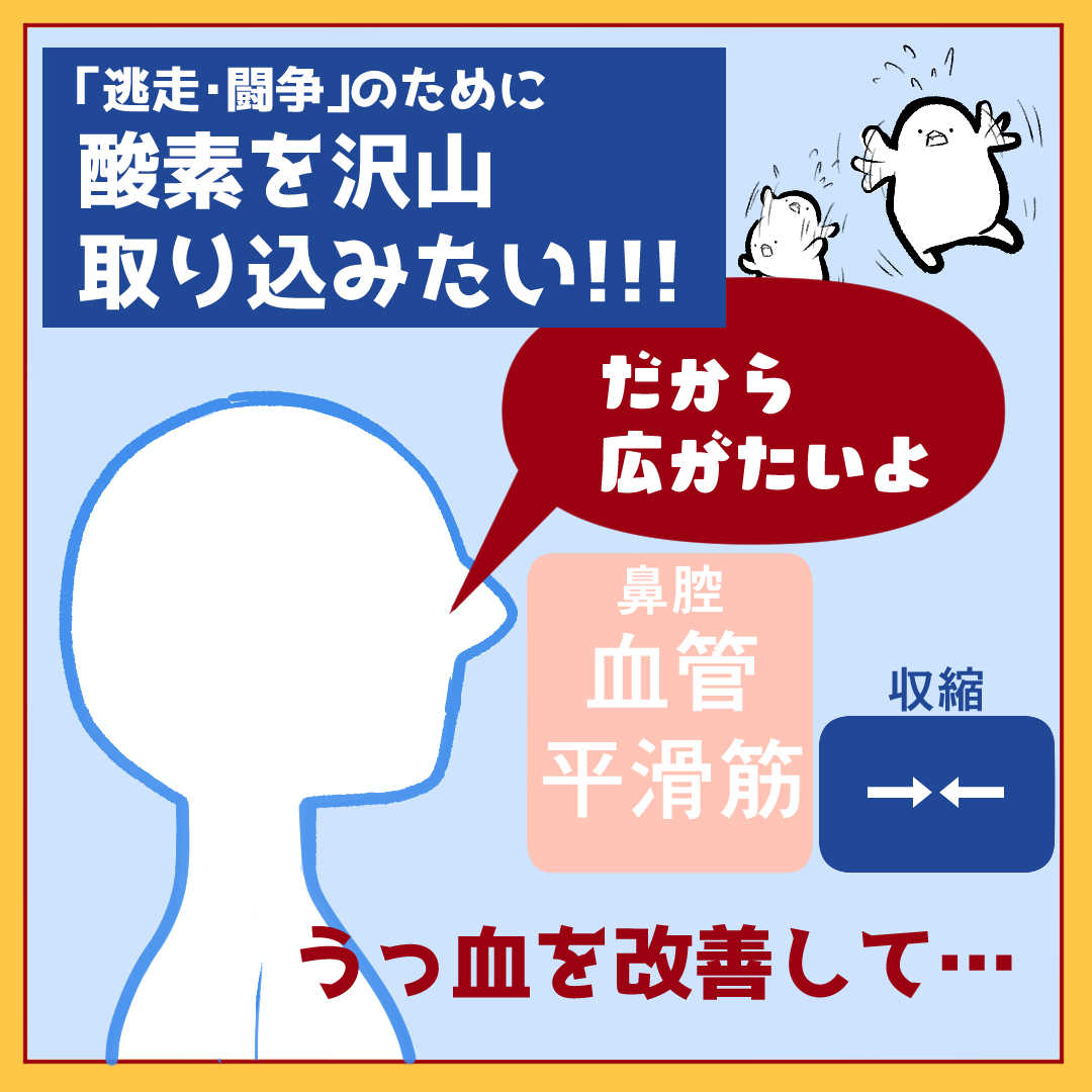 花粉が飛び始めておりますが、交感神経を働かせることで鼻づまりを改善する薬があったりします。 