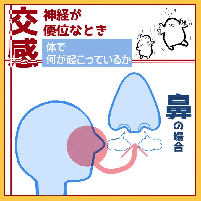 花粉が飛び始めておりますが、交感神経を働かせることで鼻づまりを改善する薬があったりします。 