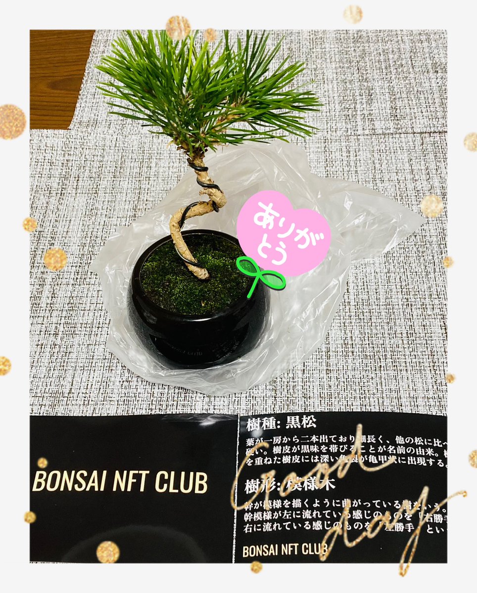 はちばぶ👶🏼踏切カンカン＆NEWZOO🐯 tweet media