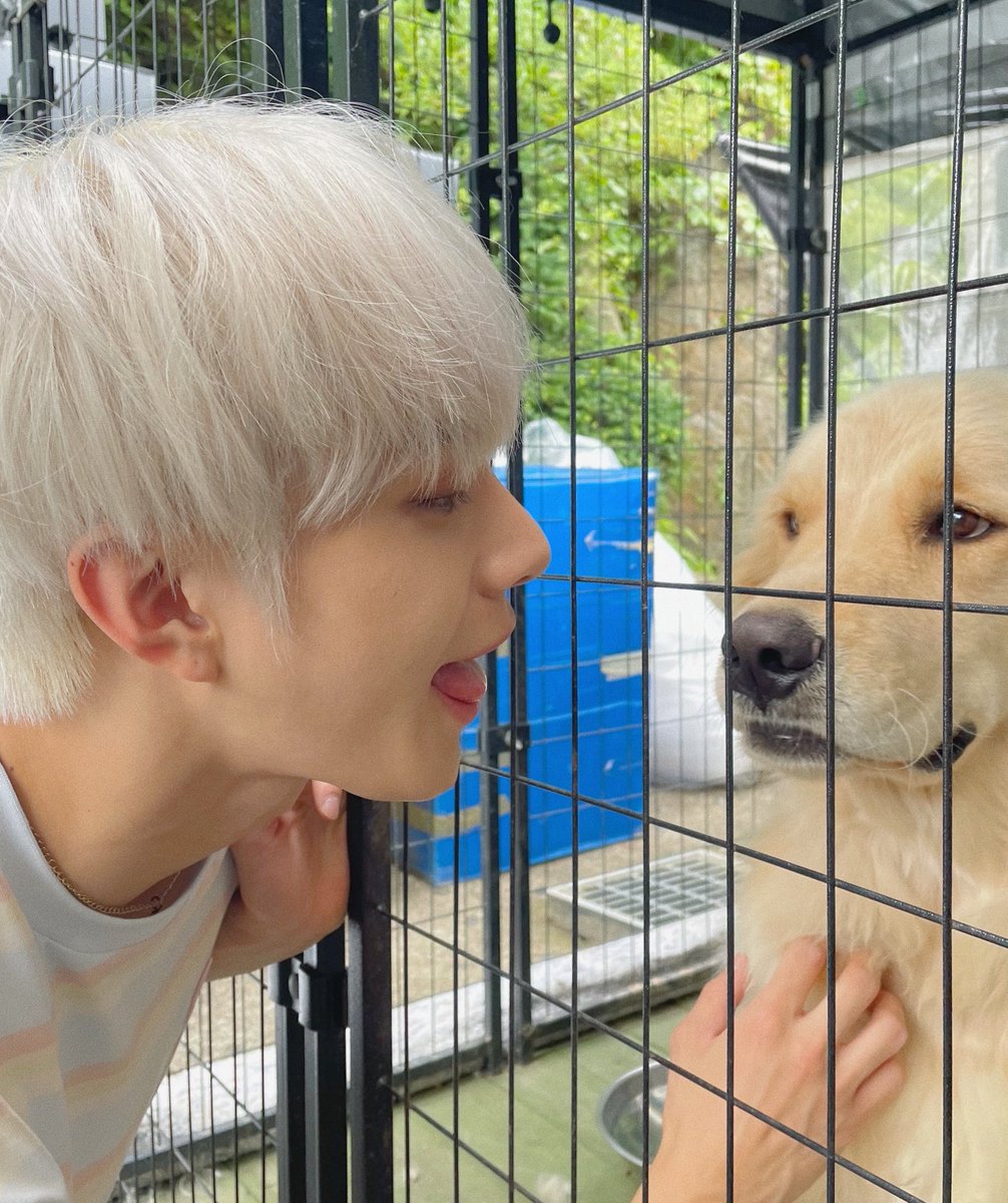 myluvvooo's tweet photo. 강아지보다 더 강아지 https://t.co/rYjoQ9f4N6