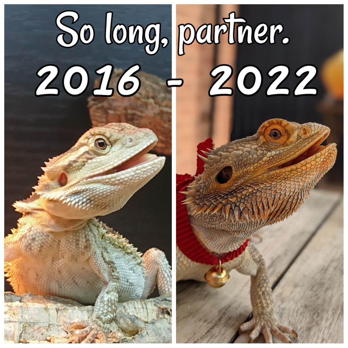 Jess Beddow (she/they) tweet media