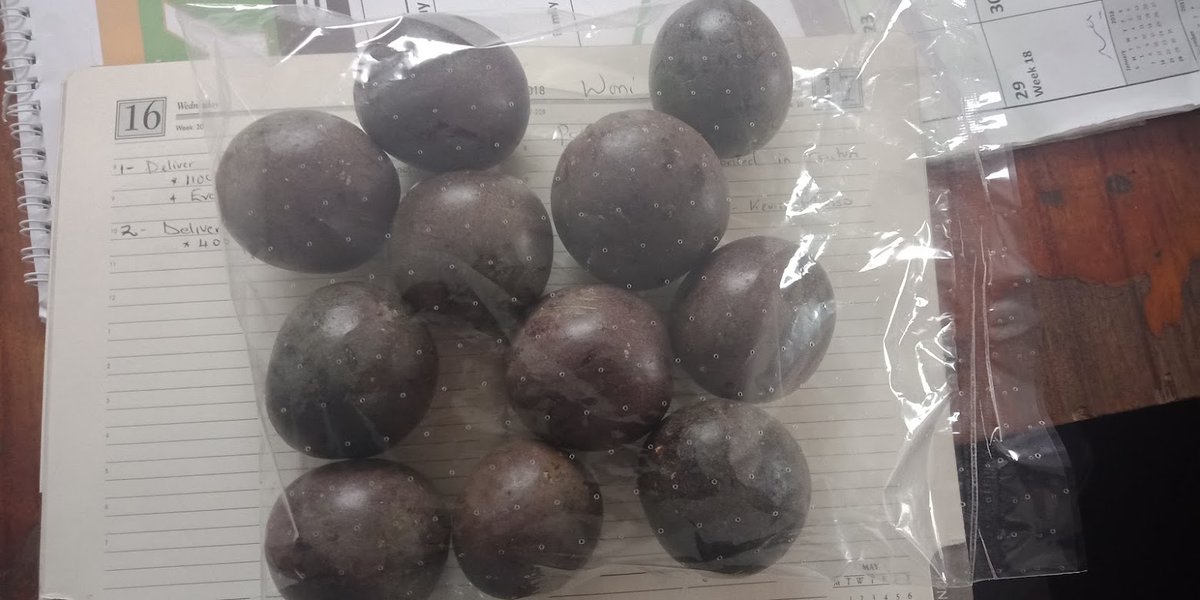 RichfarmK's tweet photo. Imagine picking money from your orchard every week... Sounds like a dream, too good to be true... But that is what some farmers who have discovered how to farm passion fruits for export are doing. https://t.co/TPfMsnXppq