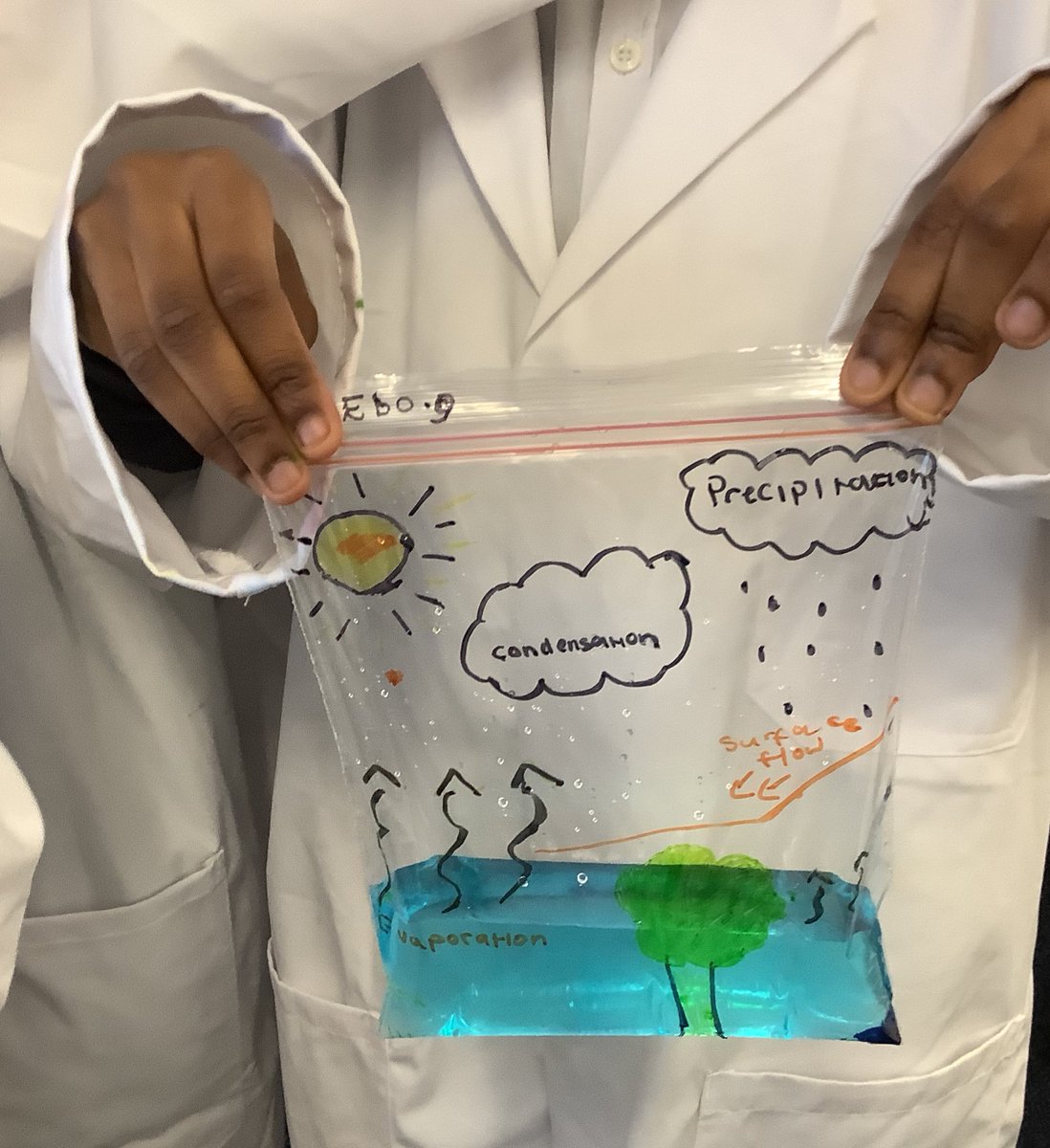 highachieverstm's tweet photo. In Little Einstein’s science club today, we created a water cycle in a bag! Now we have to wait to let nature do its think before we see evaporation, condensation and precipitation . #stmscience #stmscienceclub https://t.co/ukm2YB6hQ1