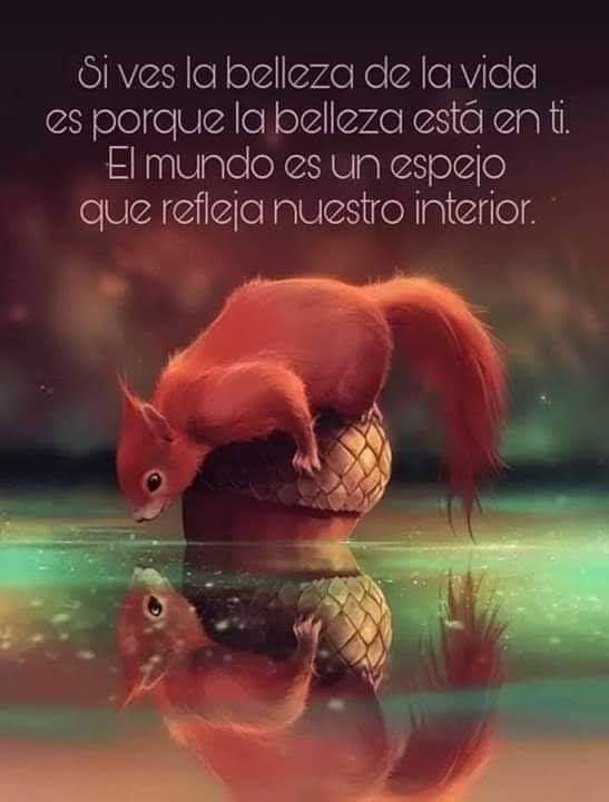 Elviamr (@elviamr3) on Twitter photo 