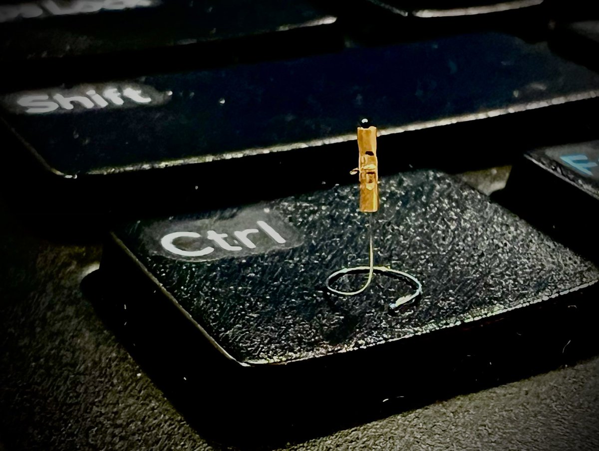 Jasleen Kaur Pannu 🫁 🇮🇳🇺🇸 tweet media