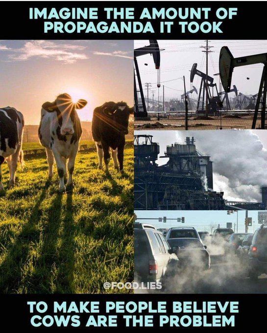 Imagine the amount of propaganda it took to make you believe that cows are the problem https://t.co/<a href="/tag/marcvanranst"class="tags"><span>#marcvanranst</span></a>