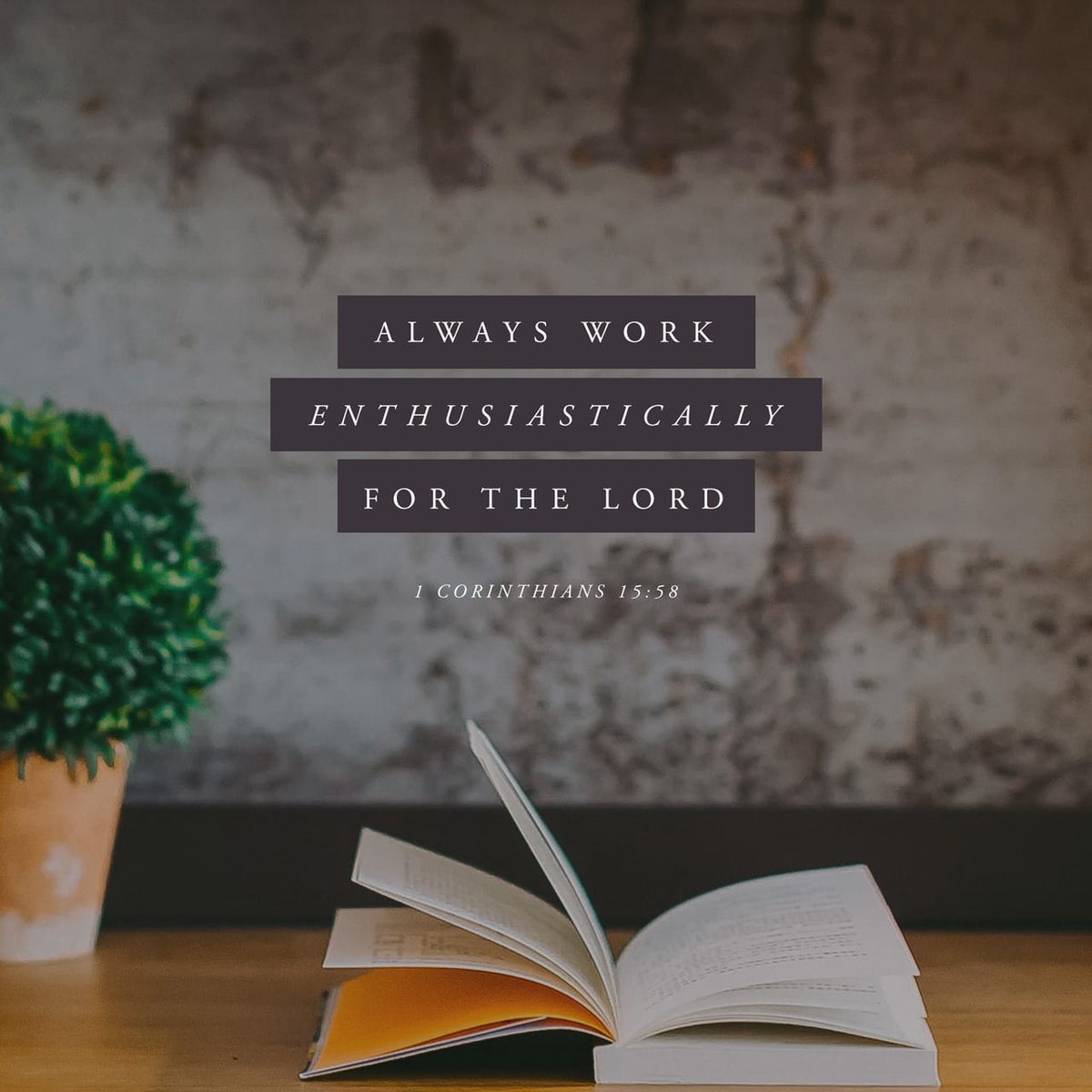 theshofar_co's tweet photo. Therefore, my beloved brethren, be ye stedfast, unmoveable, always abounding in the work of the Lord, forasmuch as ye know that your labour is not in vain in the Lord.
1 Corinthians 15:58 KJV

Follow us &amp; share
⠀
#TheShofar
#Revival
#Bible
#Prayer
#Fasting
#God
#Love
#YouVersion https://t.co/wTTHLsRHSZ