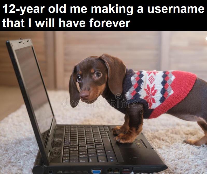 WholesomeMeme's tweet photo. https://t.co/J5epQNGXUF