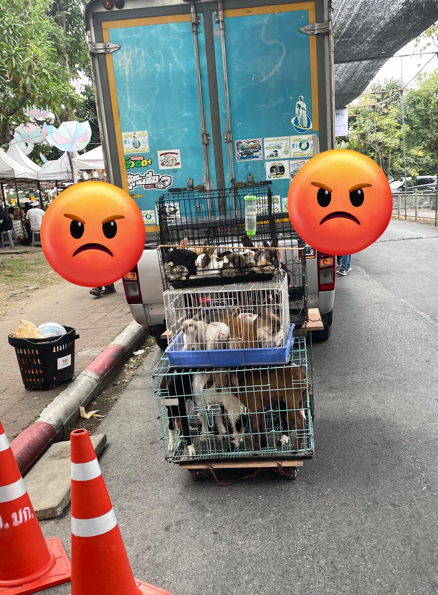 ส้วม tweet media