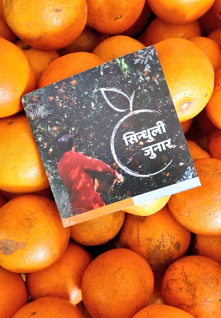 DhakalSaurav's tweet photo. सिन्धुली जुनार र @DewaApples स्याऊ बोकेर कुसुन्ती हाट पुग्दै @Greengrowth01 टोली !! #Nepal #LocalFoodSystem https://t.co/JsdhNZWIWL