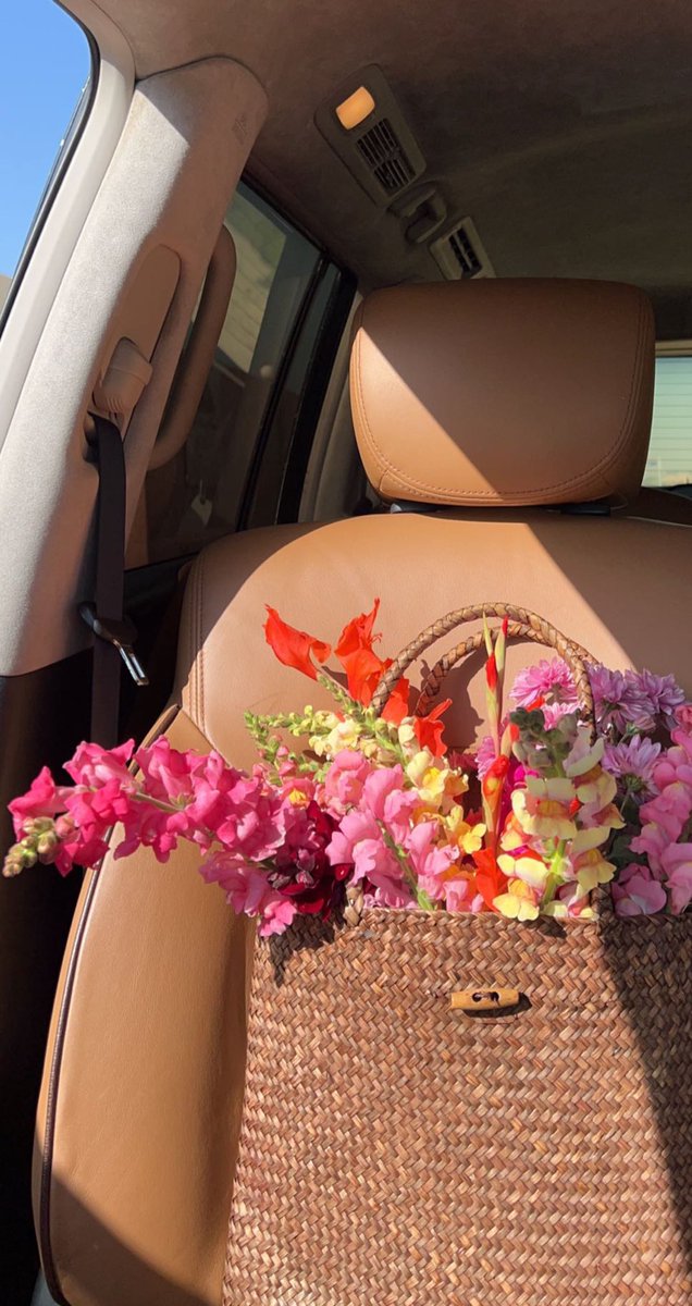 AD Flower Farm - Abu Dhabi