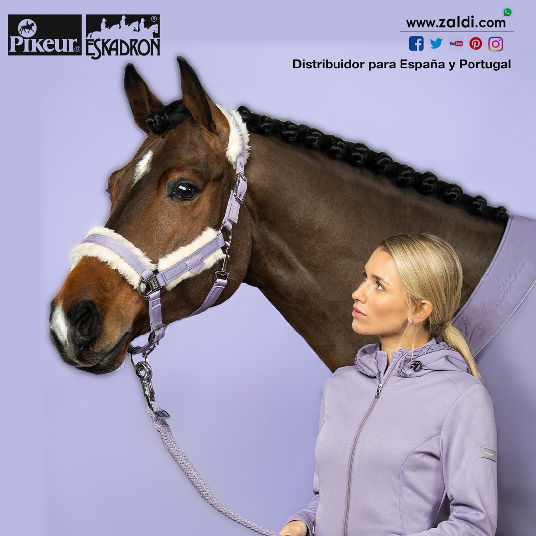 Zaldihipica's tweet photo. Ya es viernes y el caballo lo sabe 😉
It's Friday already and the horse know it 😎
Zaldi Sillas de Montar es distribuidor oficial de Pikeur y Eskadron para España y Portugal.
https://t.co/F3IdFvsJCa
#Pikeur #Eskadron #Zaldi #Equitación #Equitation
#pikeureskadron https://t.co/Tjp4fna0KX