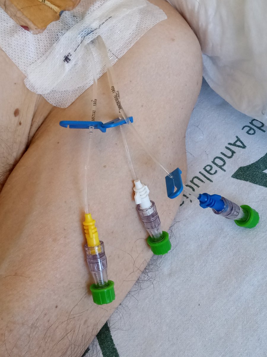 osfa veladoz tweet media