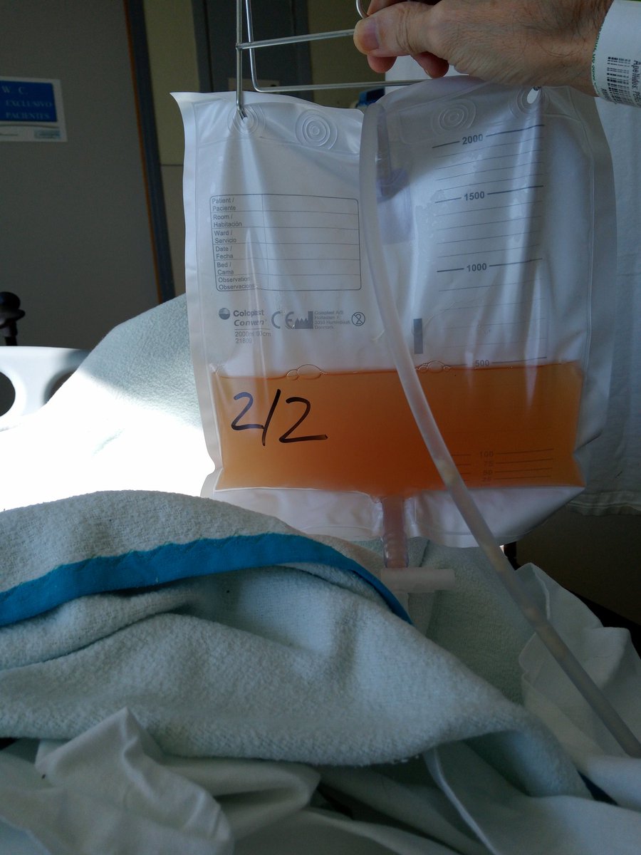 osfa veladoz tweet media