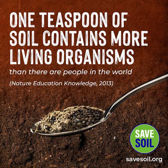 @SadhguruJV @WWF_SpecEnvoy @cpsavesoil Though Human beings r the Flower of Evolution. Microbes🦠Worms🐛🪱& Insects🐞r the Foundational Life. R🌏’s existence depends on these tiny, microscopic lives.Without them, r foundation will weaken & entire structure will collapse; including us. #SaveSoil
twitter.com/SadhguruJV/sta…