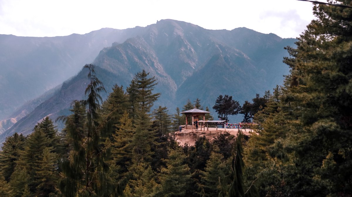 And I'm feeling good
I'm feeling good......

#Bhutan #bhutanese #bhutandiaries #bhutantravel #bhutantourism #travel #Tourism #traveltheworld #traveladdict #travellife #tour #bestplaces #bestplacestovisit #landscape #scenery #greenery #VisitBhutan #bhutanbelieve
