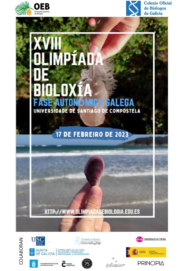 Hoxe celebramos a fase previa on line da Olimpiada de Bioloxia-Fase Galega, cun récord de participación: 44 centros e 344 alumnos/as, Sorte! #OEB2023 #bioloxía #educacion <a href="/olimpiadabio/">Olimpiada Biología</a> <a href="/UniversidadeUSC/">USC</a> <a href="/Xunta/">Xunta de Galicia</a> <a href="/educaciongob/">Ministerio de Educación, FP y Deportes</a>