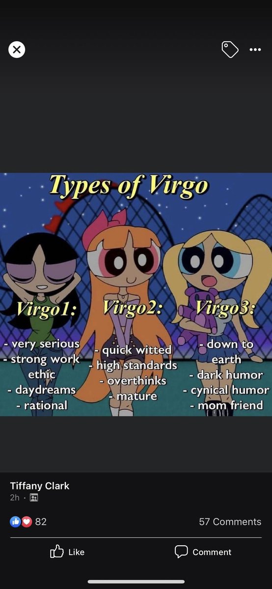 VforVirgo's tweet image. #Virgo is the master of the #mutable signs. We adapt to change!