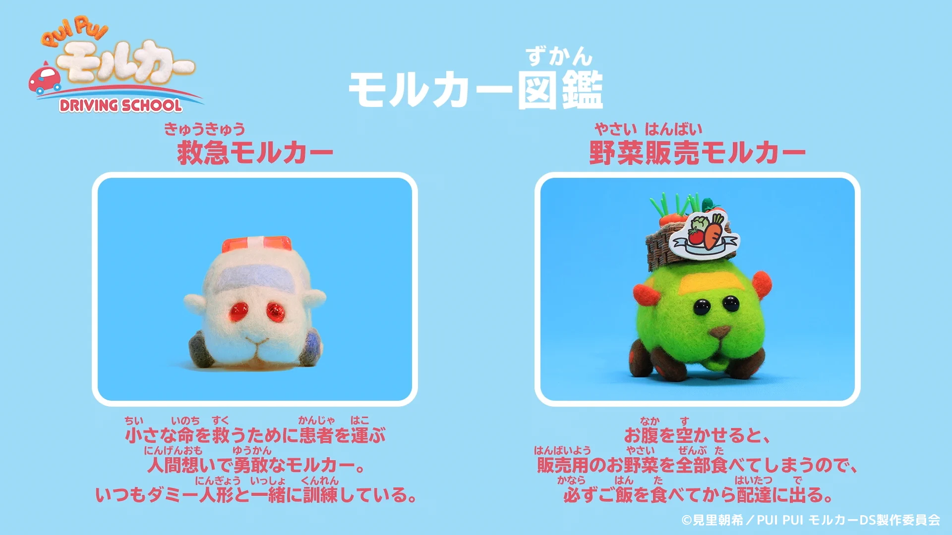 PUI PUI モルカー【公式】 on X: 