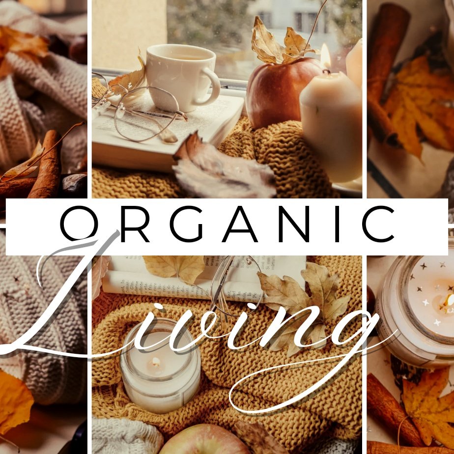 ORGANICLIVING17's tweet photo. https://t.co/LRtc5JAWf3