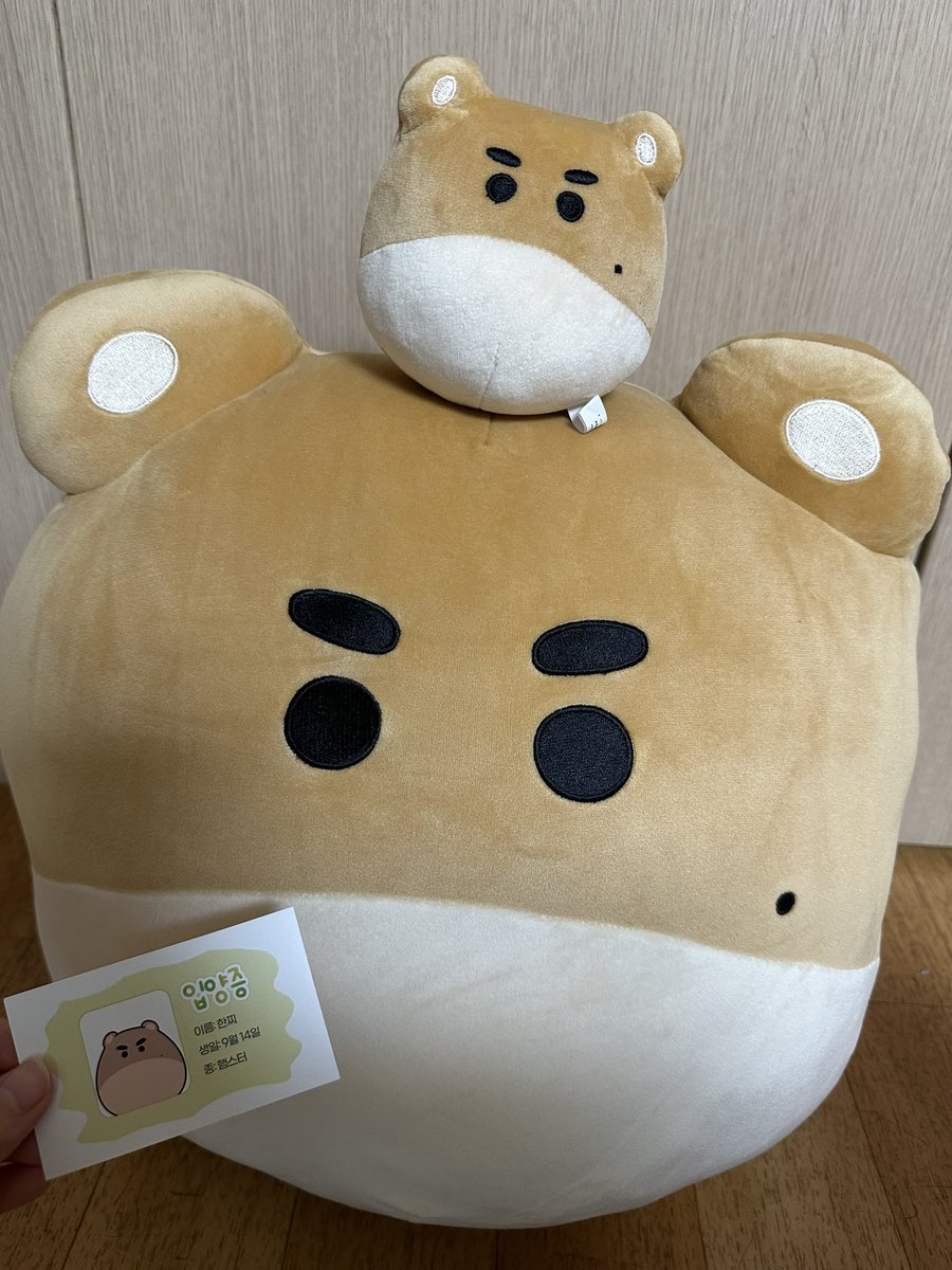 6627hjs's tweet photo. 한찌 둘찌 입양 성공!
귀엽따🥰

#한찌둘찌세찌네찌뿌꾸뿌꾸빵빵 https://t.co/SRuTwgS1XG