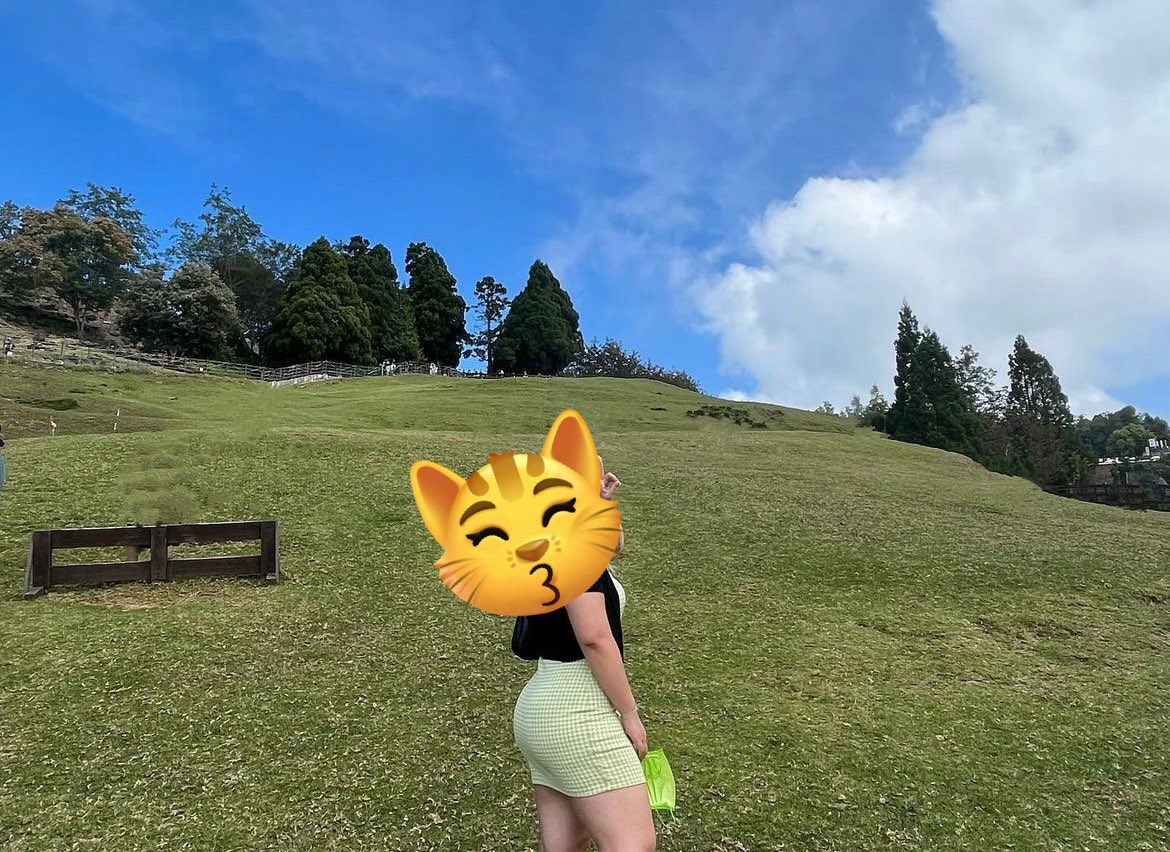iris190304's tweet photo. 🐑🐑🐑❤️ https://t.co/moTcR0yBH7